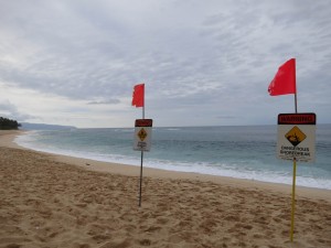 Surfer Warning Signs at the North Shore, Oahu, Hawaii