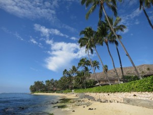 Waterfront Properties on Oahu, Hawaii