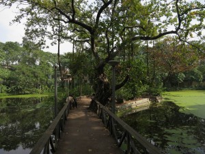 Rabindra Bharati Lake in Kolkata, India