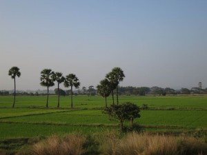 Countryside in Andra Pradesh, India