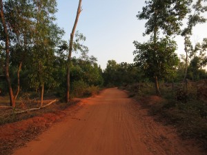 Dusty-Red-Dirt-Road of Auroville, India