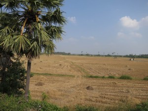 Countryside of Tamil Nadu, India