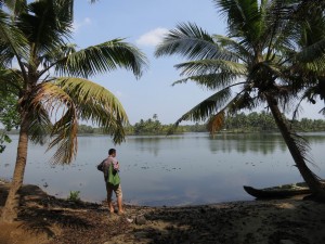 Idyllic Backwaters in Kerala, India