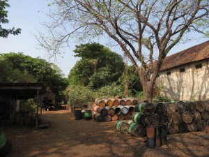 Overgrown Spice Warehouse in Mattancherry