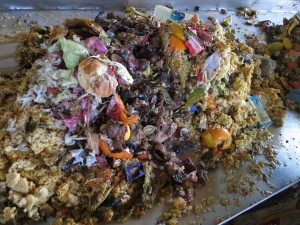 Compost Seva at the Ashram, Amritapuri