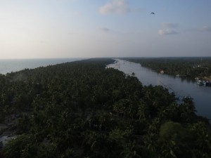 Beauty of the Palm-Tree Peninsula