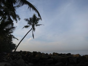 Sunrise in Amritapuri after Shivaratri