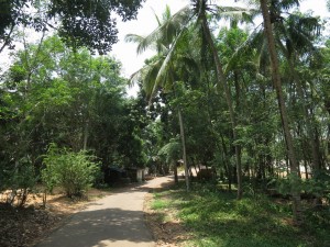 Walking to the Sivananda Lions Park