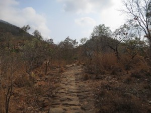 Arunachala walk to Ramana Caves