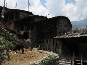 Nicely Preserved Gatlang Village, Nepal