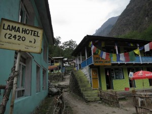 Tourist Village of Langtang, Lama Hotel