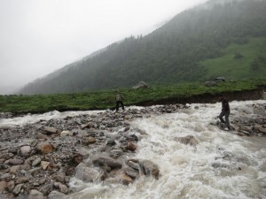 Crossing rapid, freezing Water, Mustang