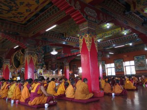 Monks during Puja at Kopan Monastery