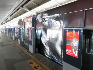 Lion on the Train matching Lion in the Commercials on the Screens