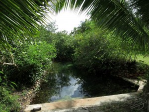 Natural Hot Spring to use during Vipassana at Wat Suan Mokkh in Thailand