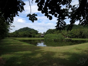 Mindfulness during Walking Meditation, Wat Suan Mokkh