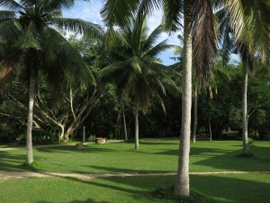 Vipassana Meditation in Sunny Conditions, Wat Suan Mokkh