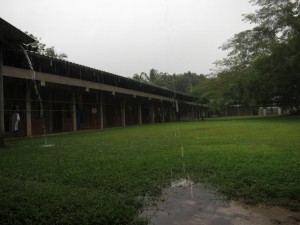 Weather Changes to Rain at Wat Suan Mokkh