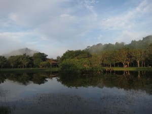 Stillness during Vipassana Retreat Day at Wat Suan Mokkh