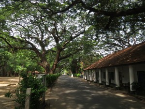 Shady Lanes inside Fort Frederick in Trincomalee, Sri Lanka