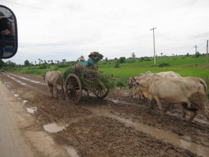 Wooden Ox-carts on the way to Shwebo, Myanmar