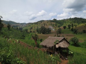 Hike to the Palaung Hill Tribe Village in Myanmar