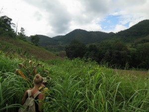 Adventurous Hike  through the Fields by Hsipaw, Myanmar