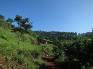 Leaving Kalaw to go Hiking to Local Villages, Myanmar