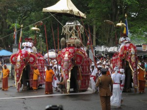 Tooth Relic Elephant at Esala Perahera Festival in Kandy, Sri Lanka