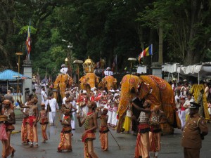 Jugglers and Elephants at Esala Perahera Parade in Kandy, Sri Lanka