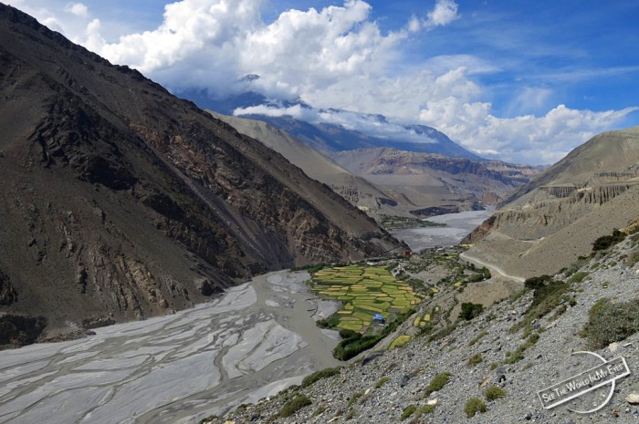 WATER - River Bed with Green Oasis in the High Altitude Desert of Nepal - seetheworldinmyeyes.com